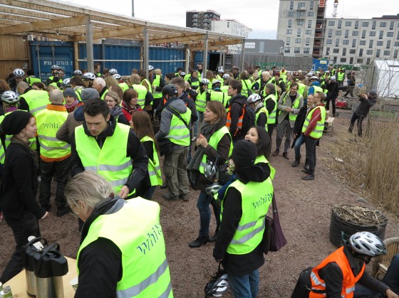CROWD